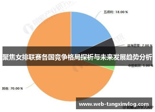 聚焦女排联赛各国竞争格局探析与未来发展趋势分析